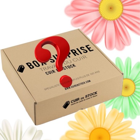 Box surprise sur le thème du printemps - Découverte du cuir - Cuir en Stock