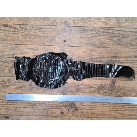 Peau entière de cuir de crocodile véritable - Noir