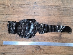 Peau de cuir de crocodile véritable - Noir