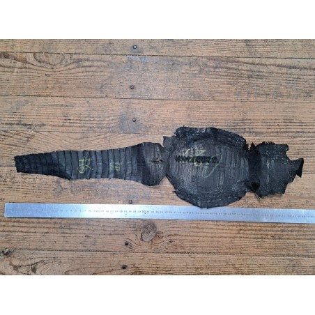 Peau entière de cuir de crocodile véritable - Noir