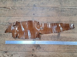 Peau de cuir de crocodile véritable - Brun - Cuir en Stock