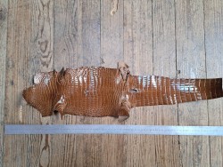Peau de cuir de crocodile véritable - Brun - Cuir en Stock
