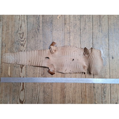 Peau de cuir de crocodile véritable - Brun - Cuir en Stock