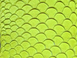 Peau de cuir de poisson tilapia - Jaune mat - Cuir en Stock