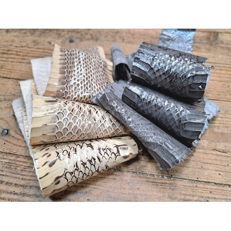 2 peaux de cuir de serpent - F - Cuir en Stock