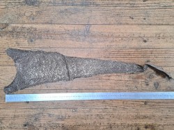 2 peaux uniques - Cabillaud - Cuir en Stock