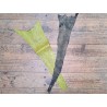 2 peaux uniques - Cabillaud - Cuir en Stock