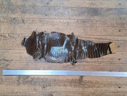 Morceau de cuir de crocodile - Brun kaki - Cuir en Stock