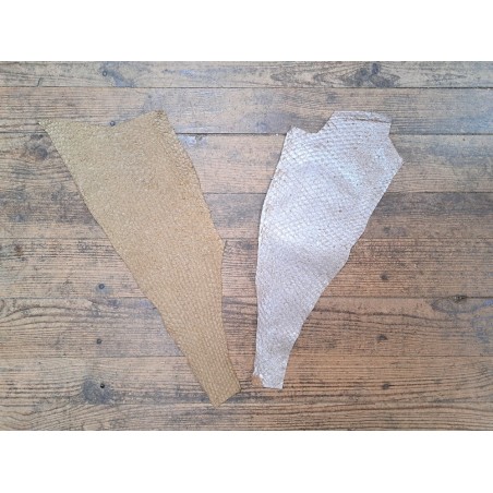 2 peaux uniques - Perche du Nil - C - Cuir en Stock