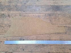 2 peaux uniques - Perche du Nil - C - Cuir en Stock