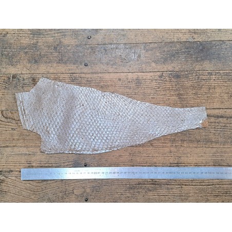 2 peaux uniques - Perche du Nil - C - Cuir en Stock