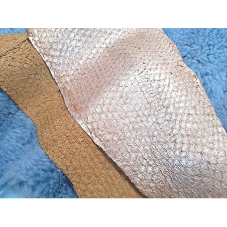 2 peaux uniques - Perche du Nil - C - Cuir en Stock