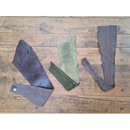 3 peaux uniques - Saumon - E - Cuir en Stock