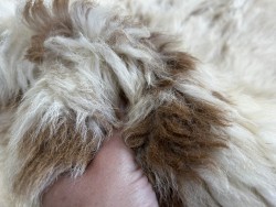 Peau de mouton lainé - CHOIX ÉCART - H - Cuir en Stock
