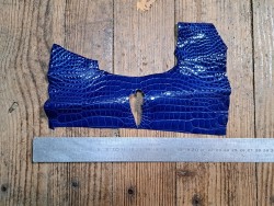 Peau de crocodile bleu - Cuir en Stock