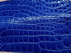 Peau de crocodile bleu - Cuir en Stock
