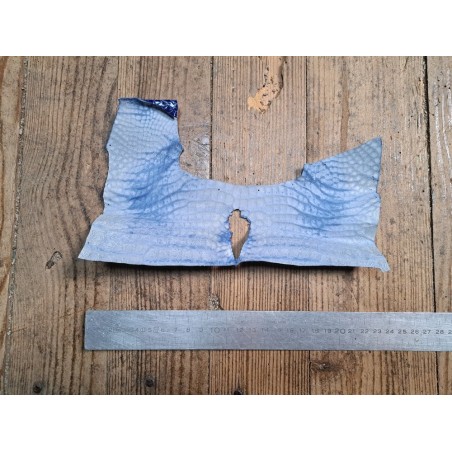 Peau de crocodile bleu - Cuir en Stock