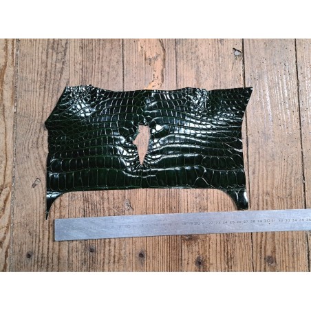 Morceau de cuir de crocodile véritable vert - Cuir en Stock