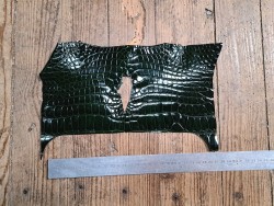 Morceau de cuir de crocodile véritable vert - Cuir en Stock