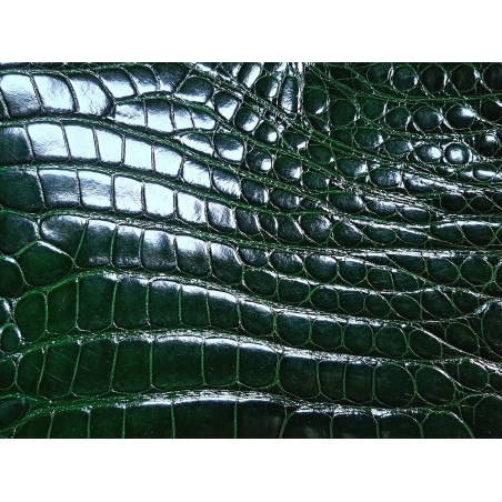 Morceau de cuir de crocodile véritable vert - Cuir en Stock