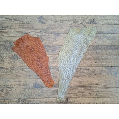 2 peaux uniques - Perche du Nil - H - Cuir en Stock