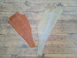 2 peaux uniques - Perche du Nil - H - Cuir en Stock
