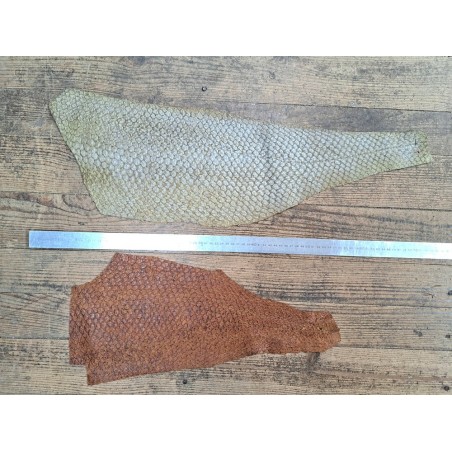 2 peaux uniques - Perche du Nil - H - Cuir en Stock