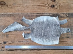 Lot de 2 peaux de cuir de lézard - B - Cuirenstock