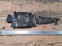 Lot de 2 peaux de cuir de lézard - C - Cuirenstock