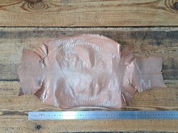 Lot de 2 peaux de cuir de lézard - D - Cuirenstock