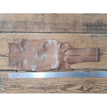 Lot de 2 peaux de cuir de lézard - E -  Cuirenstock