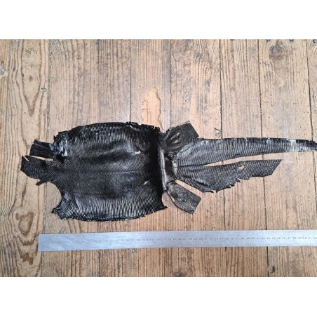 Lot de 2 peaux de cuir de lézard - B - Cuirenstock