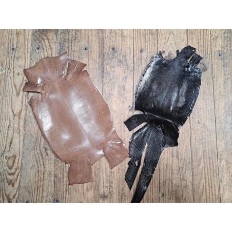 Lot de 2 peaux de cuir de lézard - B - Cuirenstock
