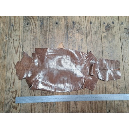 Lot de 2 peaux de cuir de lézard - D - Cuirenstock