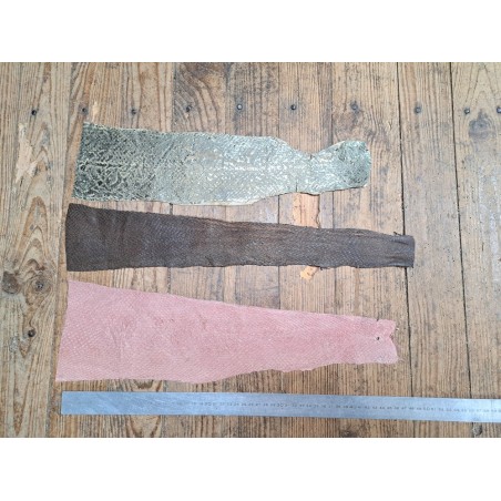 3 peaux uniques - Saumon - D - Cuir en Stock