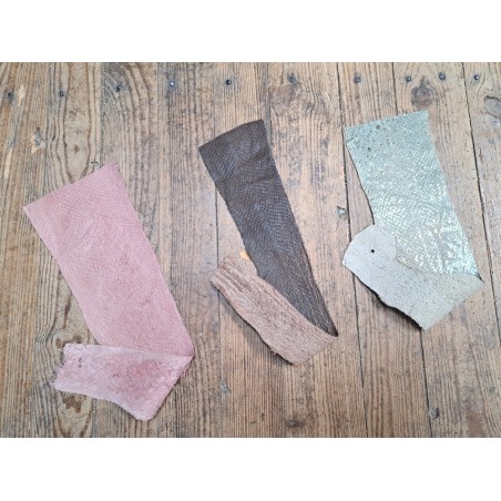 3 peaux uniques - Saumon - D - Cuir en Stock