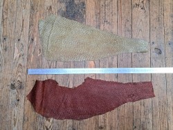 lot perche du nil - vert pastel/brun rouge irisée - cuir en stock