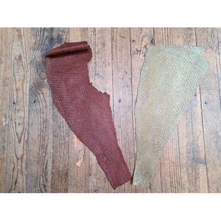 lot perche du nil - vert pastel/brun rouge irisée - Cuirenstock