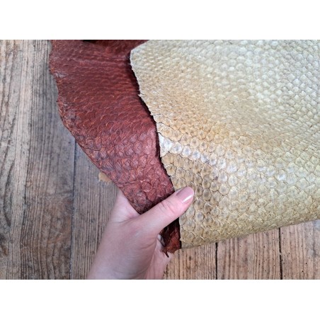 2 peaux uniques - Perche du Nil - A - Cuir en Stock
