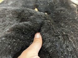 Peau de mouton lainé - CHOIX ÉCART - L - Cuir en Stock