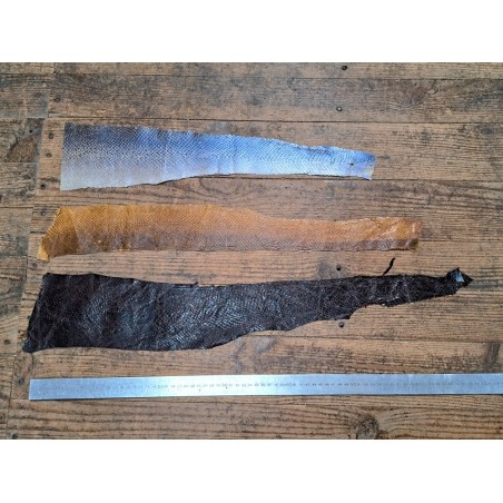 3 peaux uniques - Saumon - B - Cuir en Stock