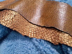 2 peaux uniques - Perche du Nil - C - Cuir en Stock