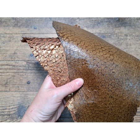 2 peaux uniques - Perche du Nil - C - Cuir en Stock