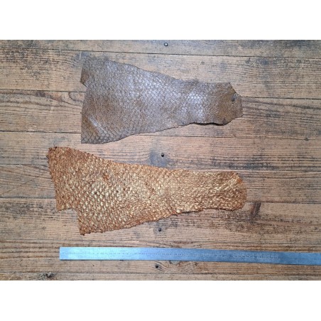 2 peaux uniques - Perche du Nil - C - Cuir en Stock