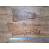 2 peaux uniques - Perche du Nil - C - Cuir en Stock