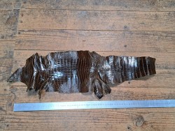 Morceau de cuir de crocodile - Brun kaki - Cuir en Stock