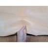 Collet de cuir de vache – Tannage végétal raide 2ᵉ choix