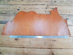 Bande de collet vegetal lisse - Fauve - Cuir en Stock