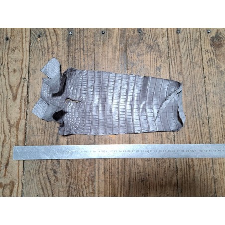 Queue de crocodile - Gris mat - bijoux et accessoires - Cuir en Stock