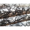 mouton - abstrait - noir/blanc - maroquinerie - cuirenstock